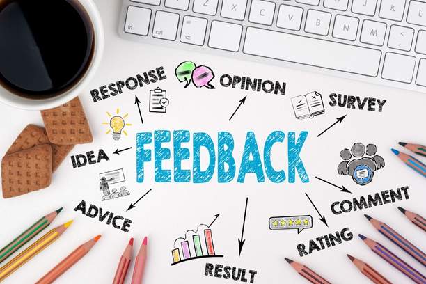 Analyzing And Employing Qualitative Feedback Examples